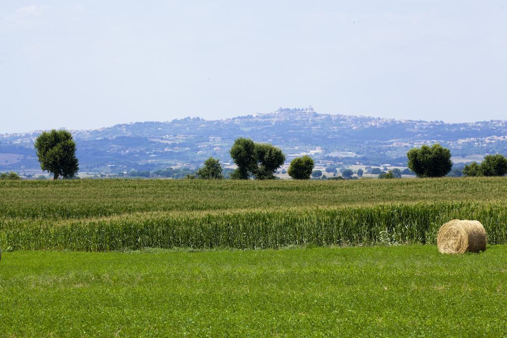 维泰博Agriturismo Ferento E Il Castagno别墅 外观 照片