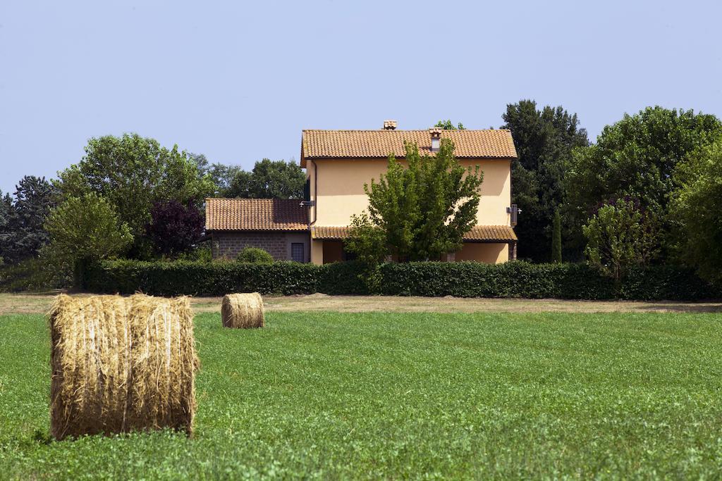 维泰博Agriturismo Ferento E Il Castagno别墅 外观 照片